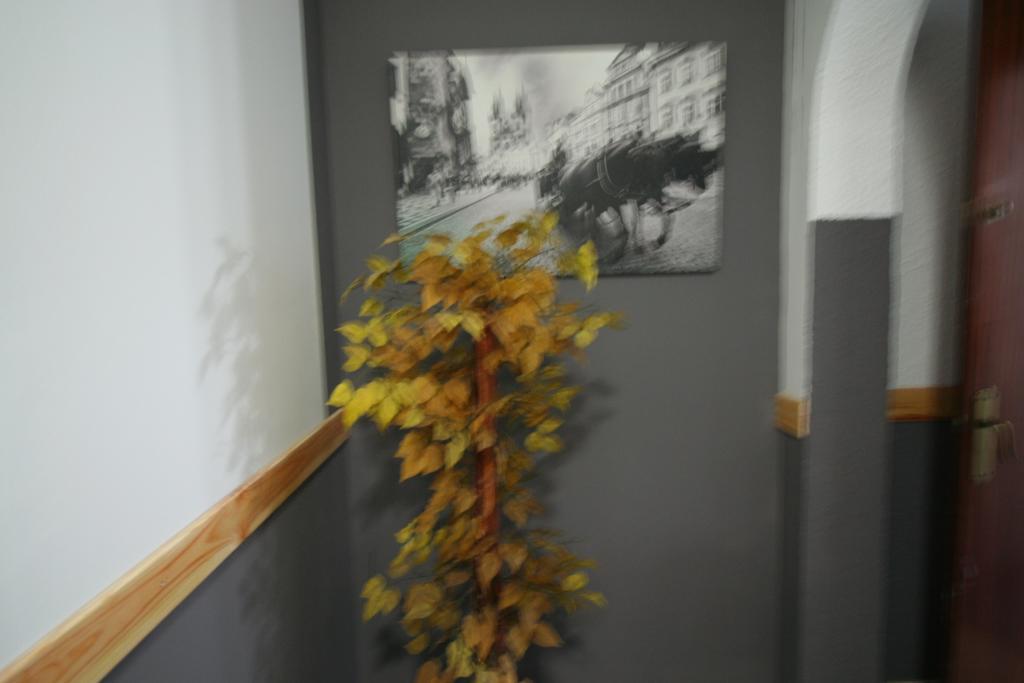 Hostal Restaurante Avenida De Madrid Terrassa Dış mekan fotoğraf
